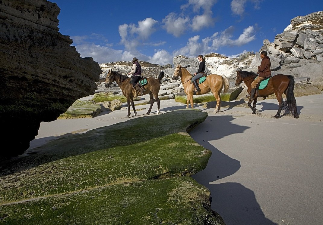 Straight from the horse's mouth : Gansbaai boasts the best horsepowered Joy Rides